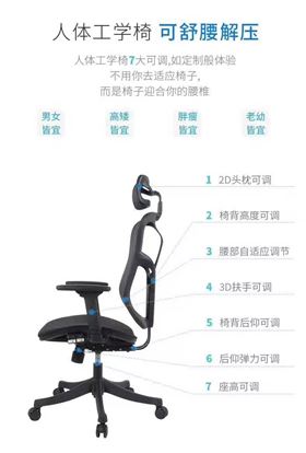 人體工學椅