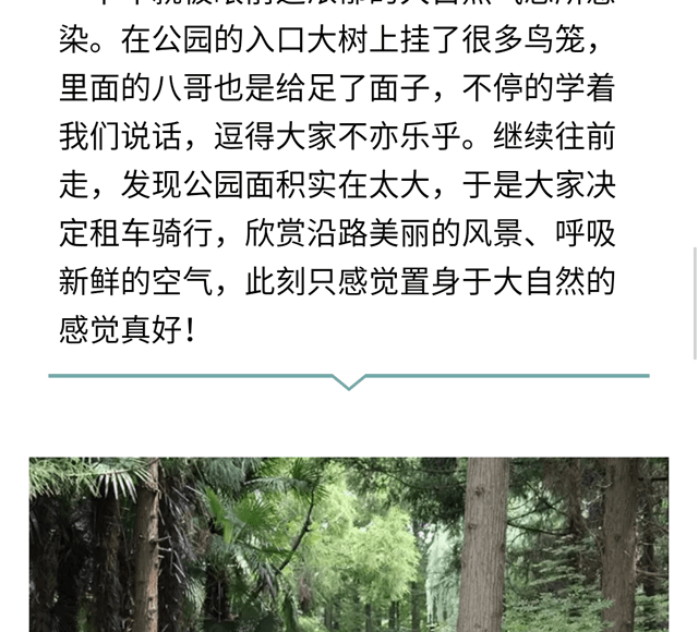 碧江員工崇明島一日游